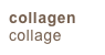 collagen
collage